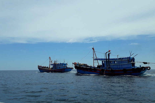 Quảng Bình: Bắt giữ hai tàu giã cào khai thác trái phép