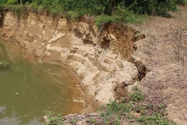 Hà Trung (Thanh Hóa): Khai thác cát trái phép gây sạt lở đất nông nghiệp