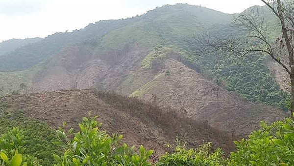 Tuyên Hóa (Quảng Bình): Hàng chục ha rừng phòng hộ Bà Đà bị chặt phá nghiêm trọng