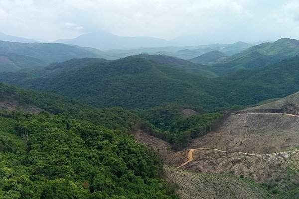 Quảng Bình: Gần 45 ha rừng tự nhiên khu vực Bà Đà bị chặt phá