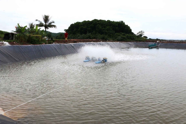 Quảng Ninh: Quản lý khai thác và sử dụng nước ngầm để nuôi trồng thủy sản
