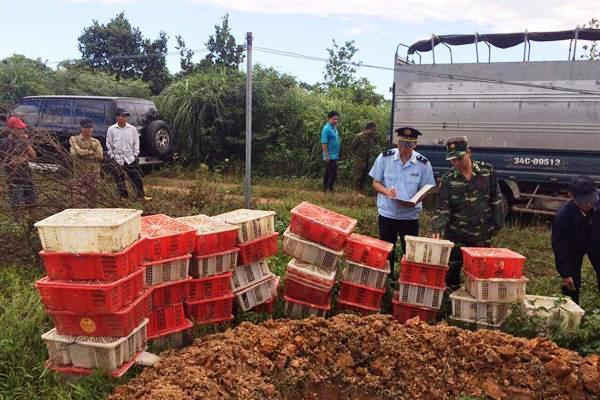 Quảng Ninh: Phát hiện gần 5 tấn thực phẩm không rõ nguồn gốc