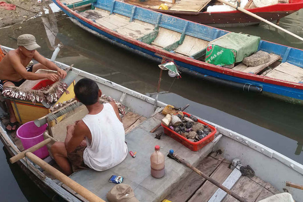 Vụ cá chết ở Lăng Cô (Thừa Thiên Huế): Có thể do nước thải công nghiệp?