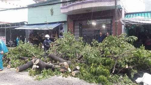 Đà Nẵng: Gió bão Con Voi, cây xanh, mái tôn bị quật ngã la liệt