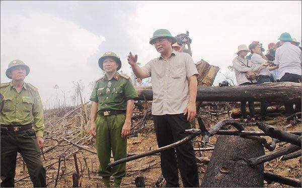 Quảng Nam Xóa bỏ các điểm nóng về phá rừng khai thác vận chuyển lâm sản trái phép
