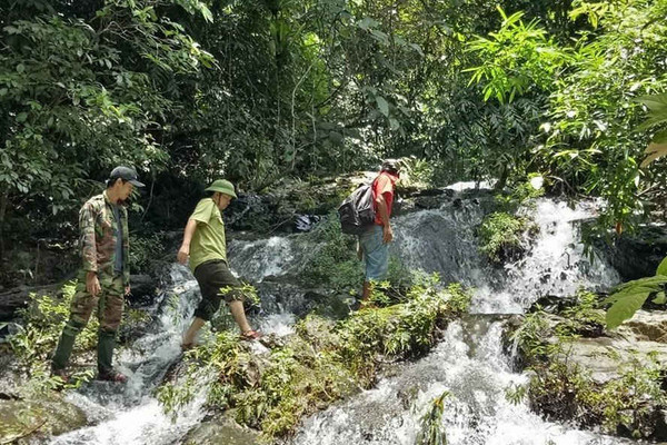 Ứng dụng phương pháp hiện đại để giám sát rừng tại Quảng Trị