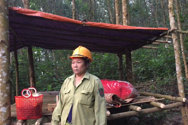 Nghệ An: Đất của dân khai hoang bất ngờ rơi 'vào tay' doanh nghiệp