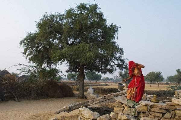 COP 23: Các chuyên gia kêu gọi tập trung nhiều hơn vào tài nguyên nước