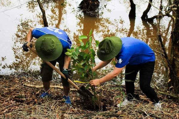 INTEL cùng WWF mở rộng mục tiêu khôi phục rừng và đảm bảo sinh kế tại Láng Sen