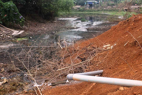 Điện Biên: Dân kêu trời vì ô nhiễm từ trang trại lợn