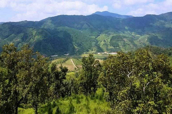 Chính sách chi trả DVMTR ở Kon Tum: Nguồn lực để phát triển rừng bền vững