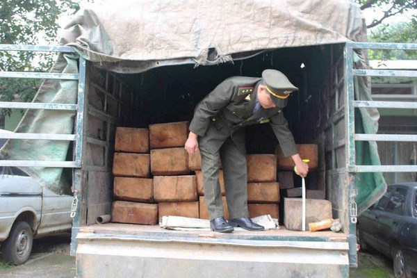 Quảng Nam: Phát hiện nhiều phách gỗ lậu ngụy trang dưới phế liệu