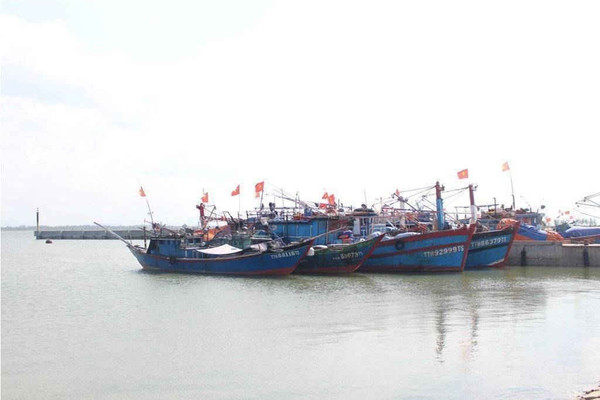 Thừa Thiên Huế: Hơn 10 tỷ đồng hỗ trợ vận chuyển hàng hóa dịch vụ khai thác hải sản