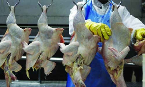 Vĩnh Phúc: Giết mổ gia cầm phải đăng ký môi trường với huyện xã