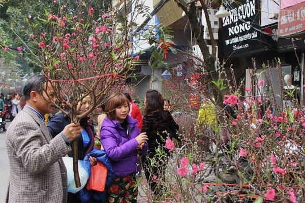 Hà Nội cho phép tổ chức 63 điểm chợ hoa Xuân dịp Tết Nguyên Đán