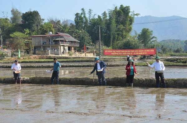 Điện Biên: Khai xuân sản xuất nông lâm nghiệp