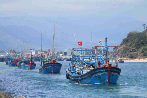 Bình Định: Khu neo đậu tàu thuyền cửa biển Tam Quan quá tải