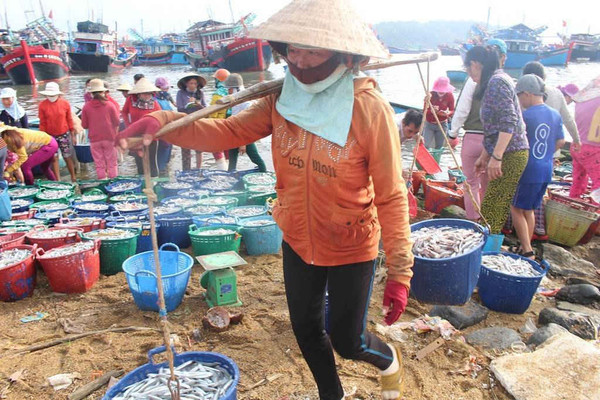Quảng Nam: Phụ nữ làng biển