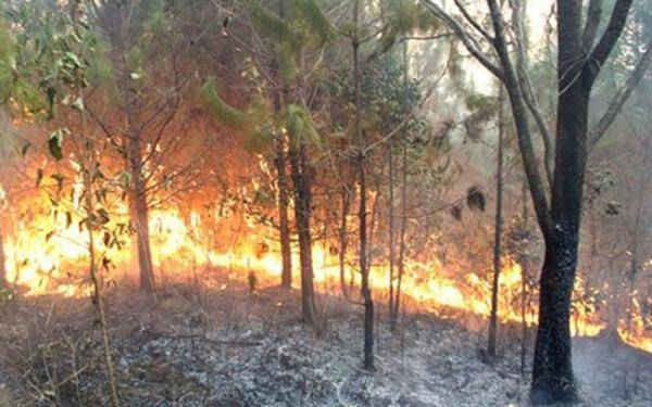 Miền Bắc nắng hanh, Miền Nam cảnh báo nguy cơ cháy rừng