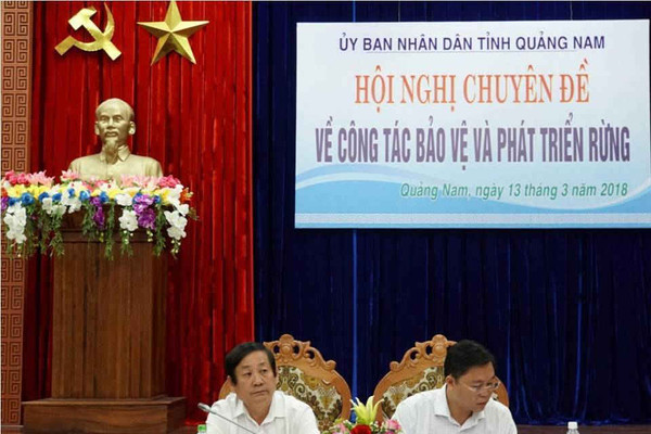 Quảng Nam: Tăng cường công tác quản lý, bảo vệ, phát triển rừng và tài nguyên khoáng sản trên địa bàn tỉnh