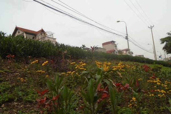 Hoàng Mai (Hà Nội): Biến điểm đen về rác thành vườn hoa khoe sắc