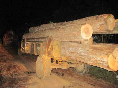 Phạt 7,5 triệu đồng đối tượng vận chuyển gỗ lậu