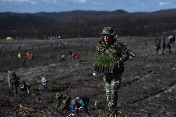 Tình nguyện viên Bồ Đào Nha trồng lại cây bị tàn phá do cháy rừng