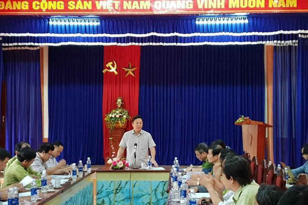 Lãnh đạo tỉnh Quảng Nam kiểm tra thực tế hiện trường vụ phá rừng phòng hộ huyện Đông Giang