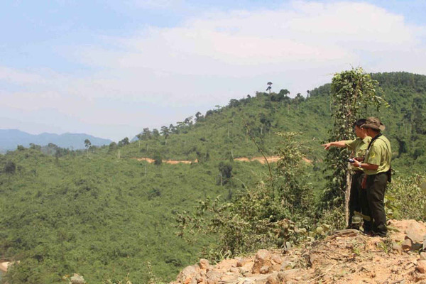 Thừa Thiên Huế: Tăng cường quản lý, sử dụng rừng và đất rừng tự nhiên