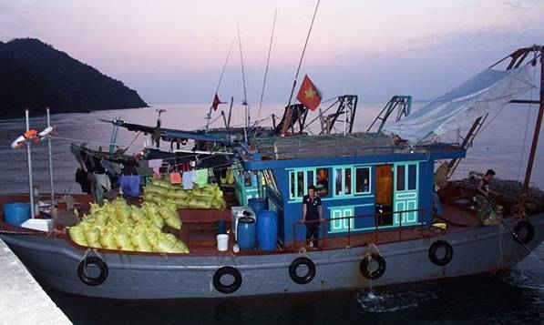 Quảng Ninh: Bắt giữ 8 tàu đánh bắt thủy sản trái phép