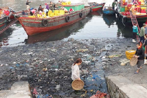 Cửa Lò (Nghệ An): Ô nhiễm môi trường tại bến cá Nghi Thủy