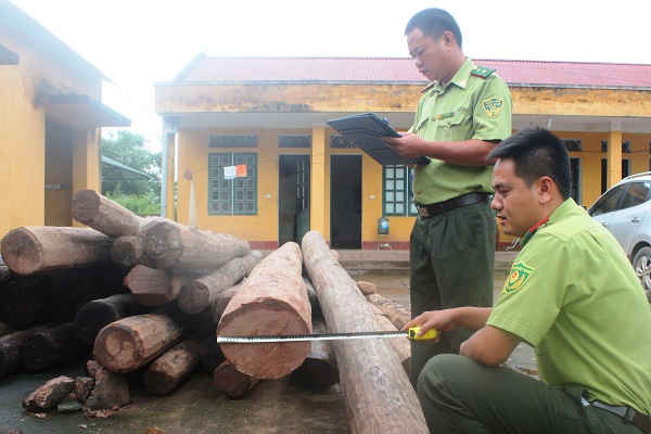Mường Nhé - Điện Biên: Phát hiện 27 vụ phá rừng, thiệt hại 11,5ha