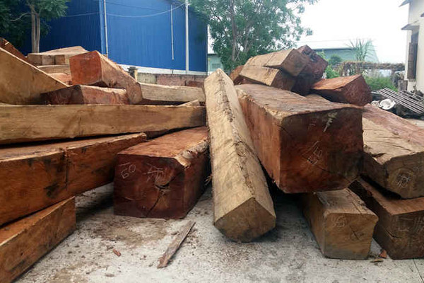 63 m3 gỗ lậu trong một xưởng gỗ tư nhân