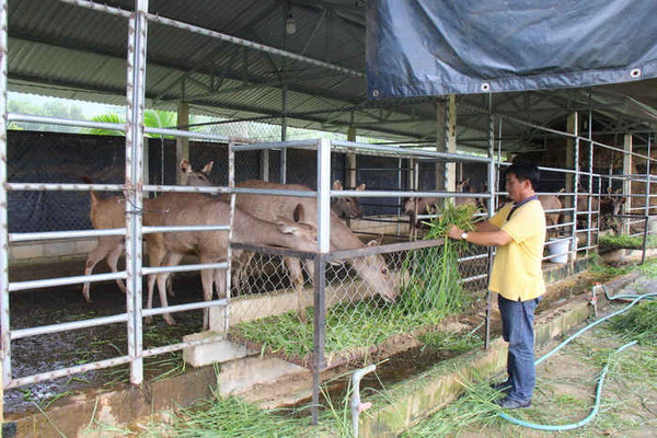 Bình Định: Tăng cường quản lý các cơ sở gây nuôi động vật hoang dã