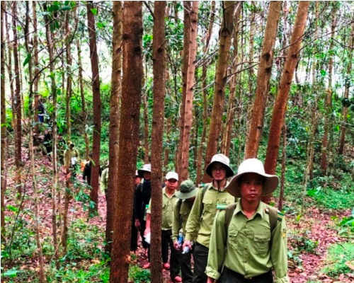 Quảng Nam: Chủ động giữ rừng mùa khô