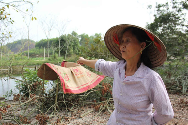 Xã Tân Khánh (Phú Bình, Thái Nguyên): Bí thư chi bộ bị dân "tố" chiếm đoạt đất trồng rừng