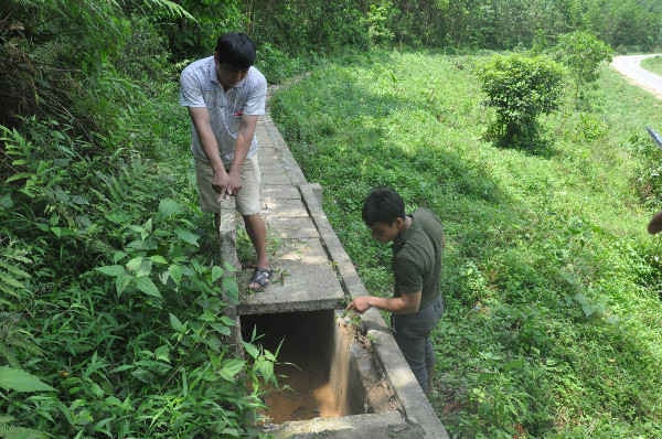 Quảng Ninh: Kênh mương dốc ngược - đồng ruộng “khát”