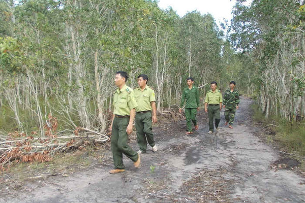 Kiên Giang: Tăng cường kiểm tra, xử lý vi phạm đất rừng
