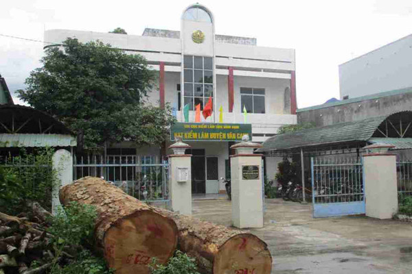 Bình Định: Cần làm rõ bãi tập kết hàng trăm cây gỗ rừng tự nhiên do Công ty TNHH MTV lâm nghiệp Hà Thanh khai thác