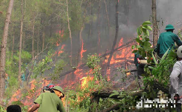 Nghệ An: 2 ngày xảy ra 4 vụ cháy rừng, thiệt hại gần 20 ha