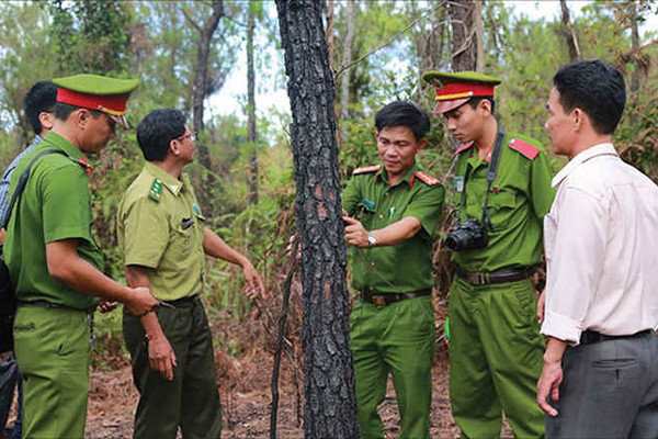 Thừa Thiên Huế: Liên tiếp xảy ra nhiều vụ cháy rừng “bí ẩn”