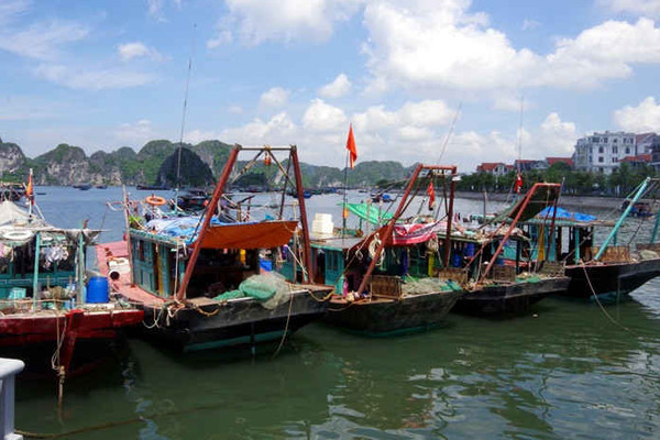 Quảng Ninh: Phát hiện, bắt giữ 15 phương tiện khai thác thủy sản trái phép