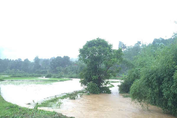 Yên Bái: Nhiều thiệt hại do mưa lớn kéo dài