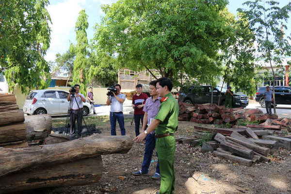 Đắk Nông: Chuyển hồ sơ qua Cơ quan Công an vụ phá hơn 17 cây gỗ quý