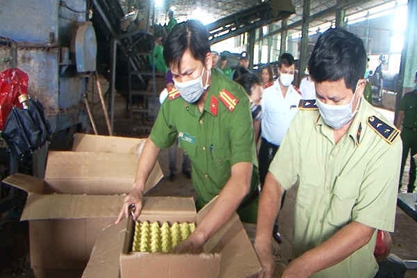 Yên Bái: Tiêu hủy gần 112.000 quả trứng gà không có nguồn gốc xuất xứ