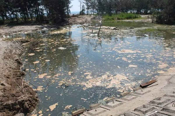 Hà Tĩnh: Xử phạt 435 triệu đồng doanh nghiệp nuôi tôm gây ô nhiễm môi trường
