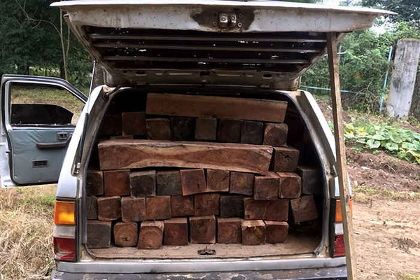 Mang Yang (Gia Lai): Phát hiện bãi gỗ lậu khi bắt được xe gỗ lậu
