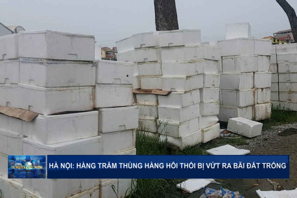 Hà Nội: Hàng trăm thùng hàng hôi thối bị vứt ra bãi đất trống