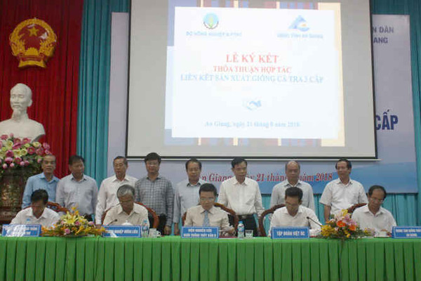 Tập đoàn Việt - Úc ký kết  tham gia Đề án cá tra 3 cấp