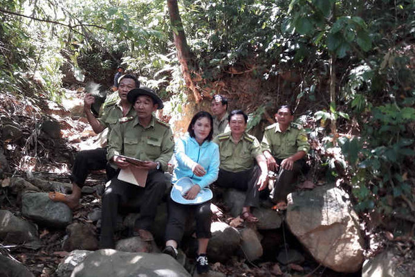 Bình Định: Gian nan bảo vệ rừng giáp ranh giữa 2 huyện An Lão và Hoài Nhơn